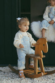 Denim Daisy Overalls