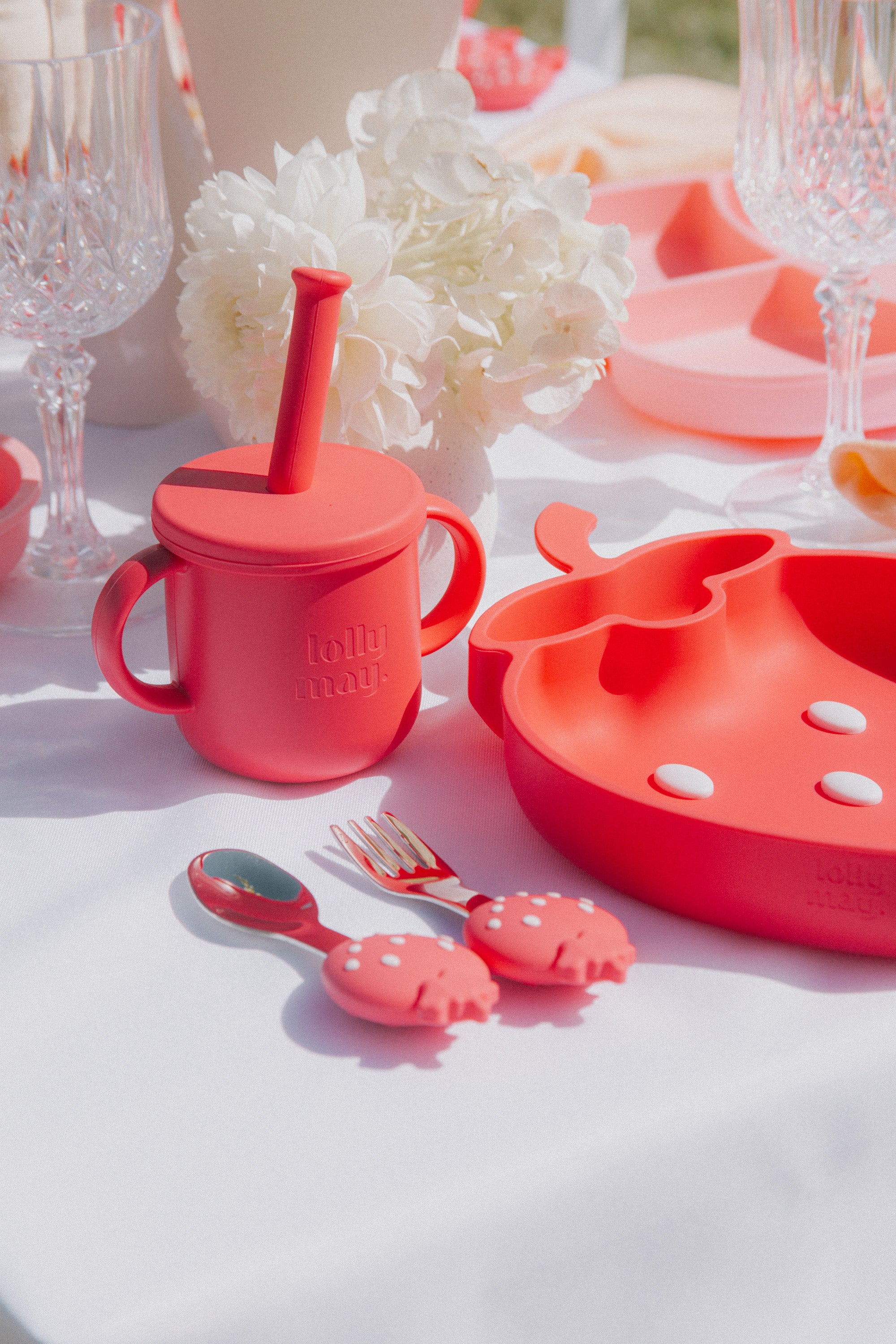 Strawberry Picnic Set